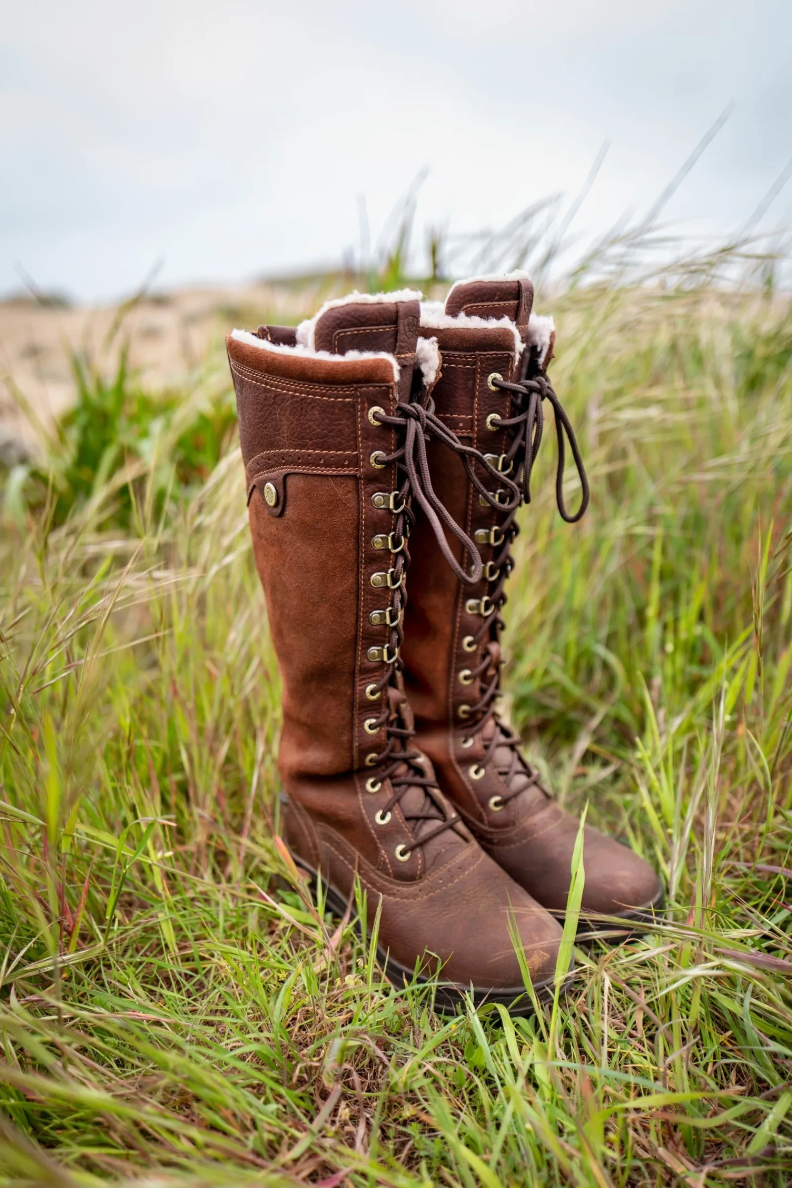 Ariat Wythburn Tall Damen wasserdichte Stiefel* Country Stiefel