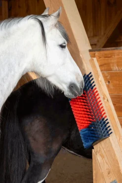 Kerbl XL Kratzbürste, rund* Aufbewahrung|Stallzubehör