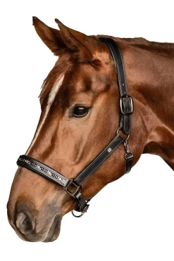 Waldhausen X-Line Crystal Lederhalfter* Halfter