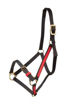Finntack Yankee Nylon-Halfter, 20mm, offene Nase* Halfter