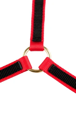 Finntack Yankee Nylon-Halfter, 20mm, offene Nase* Halfter