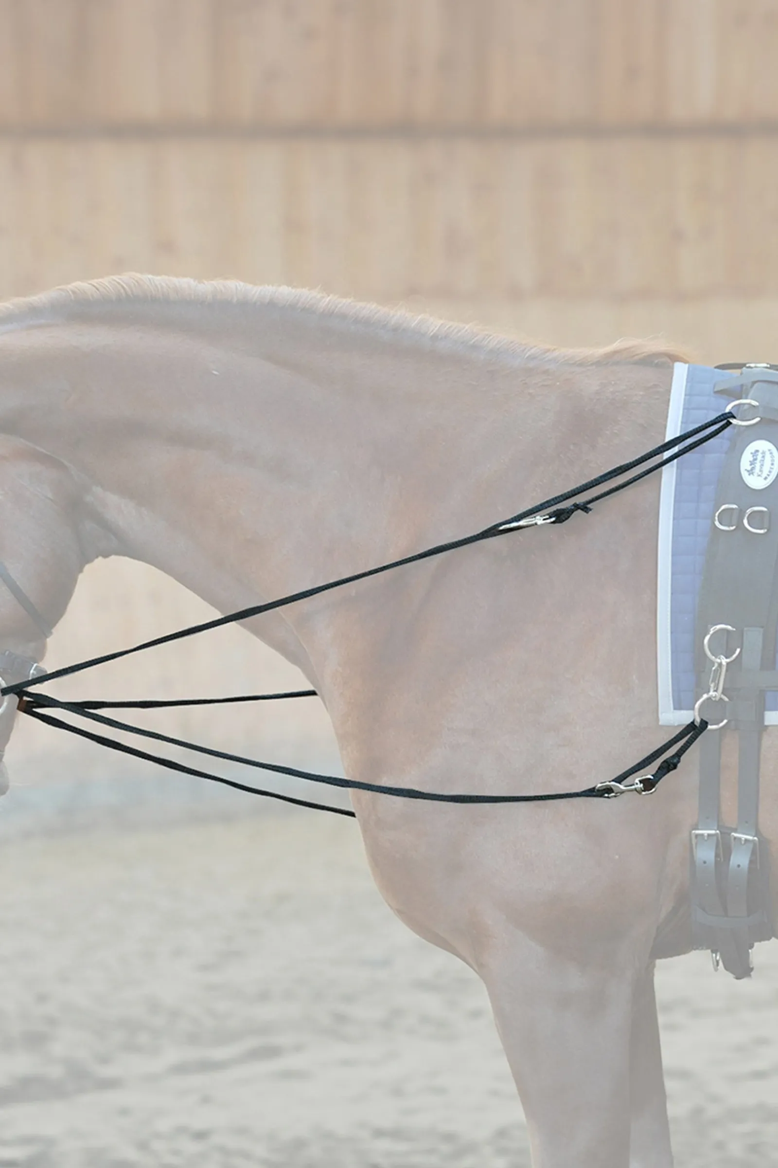 Kavalkade Zügel Philip Easy - Nylon* Hilfszügel|Trainingshilfen