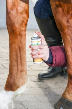 Stiefel Zink Spray* Stallapotheke|Sonstige Therapie- & Massageartikel