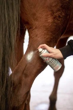 Leovet Zinkoxidspray* Stallapotheke|Sonstige Therapie- & Massageartikel
